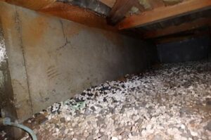 埼玉県狭山市にある築34年の補強前の基礎